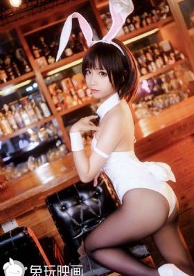 忠犬帕尔玛电影