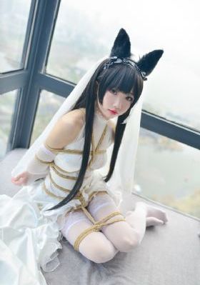 鱿鱼第二季免费观看完整版